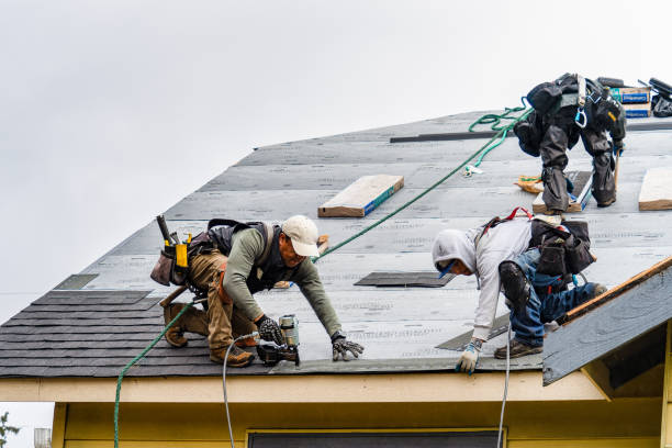 Professional Roof Repair technician working in La Fontaine, IN